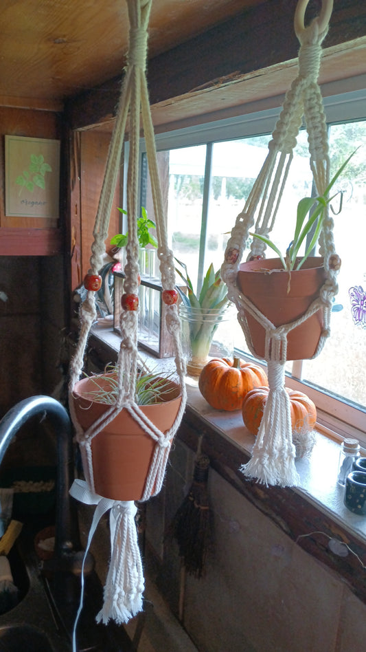 Mini Macrame Plant Hangers (pot included)